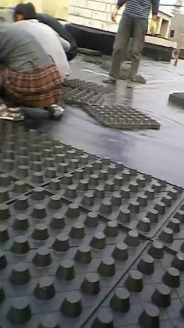 河南4公分屋頂綠化排水板施工現(xiàn)場(chǎng)2.jpg