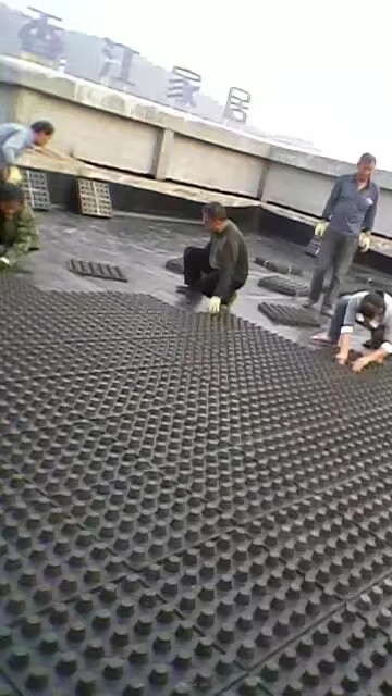 河南4公分屋頂綠化排水板施工現(xiàn)場(chǎng)3.jpg
