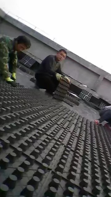 河南4公分屋頂綠化排水板施工現(xiàn)場(chǎng)